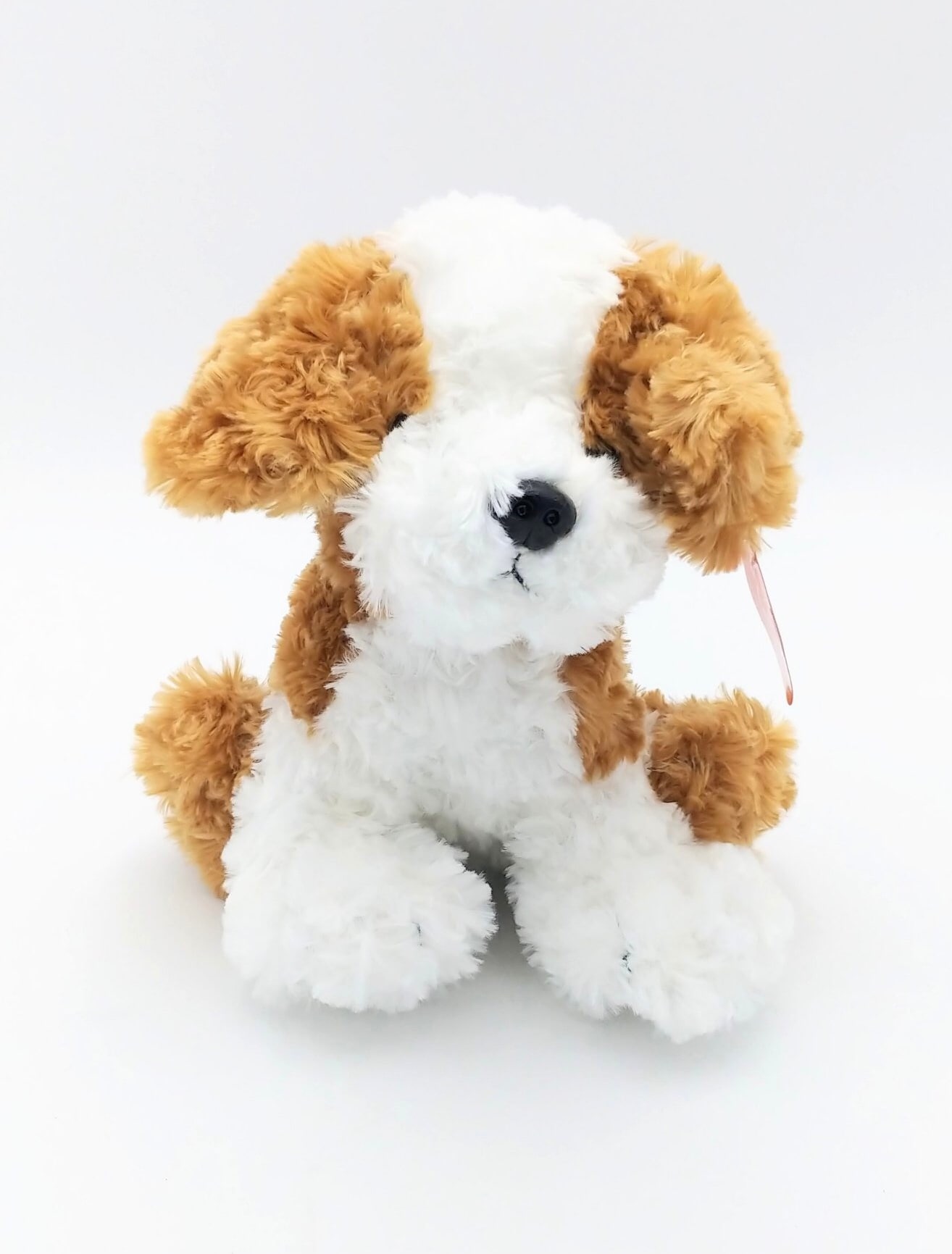 Butterscotch Pup